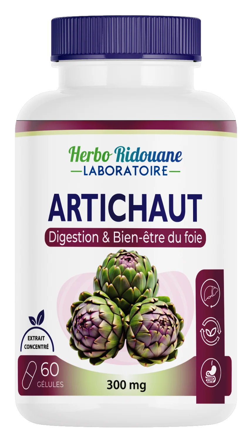 Artichaut